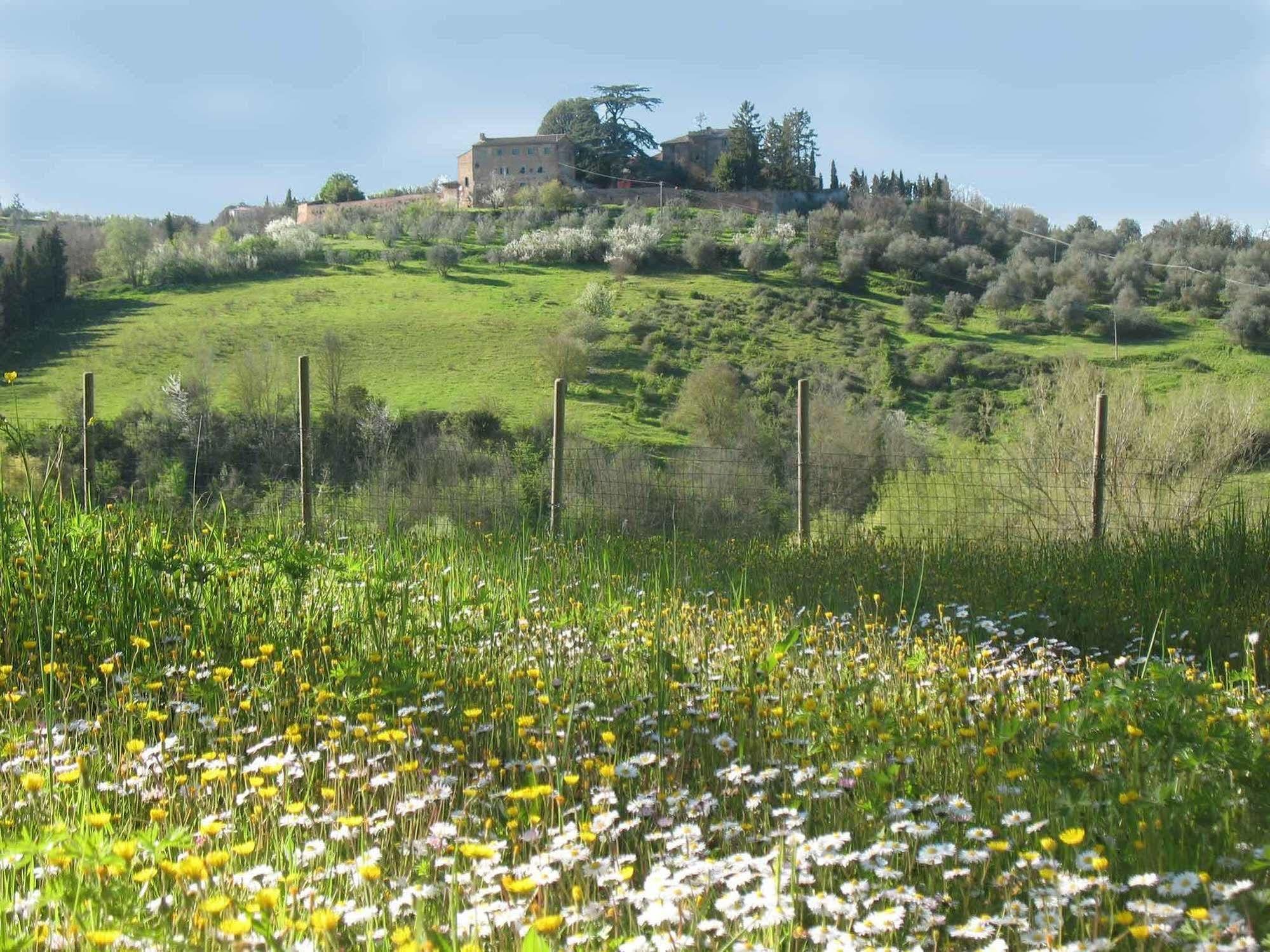 Agriturismo La Torretta Costalpino Exterior photo